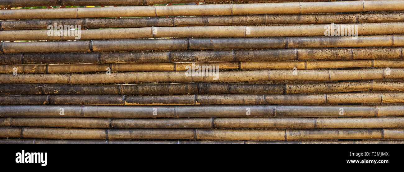 Old weathered bamboo texture, background, closeup view with details, banner Stock Photo