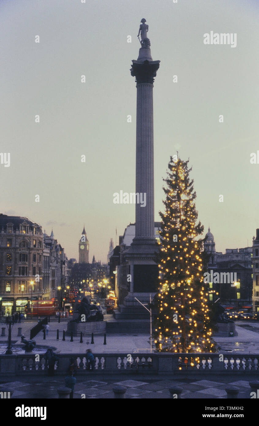 The Norwegian Christmas tree at Trafalgar Square, London, England. UK. Circa 1980's Stock Photo