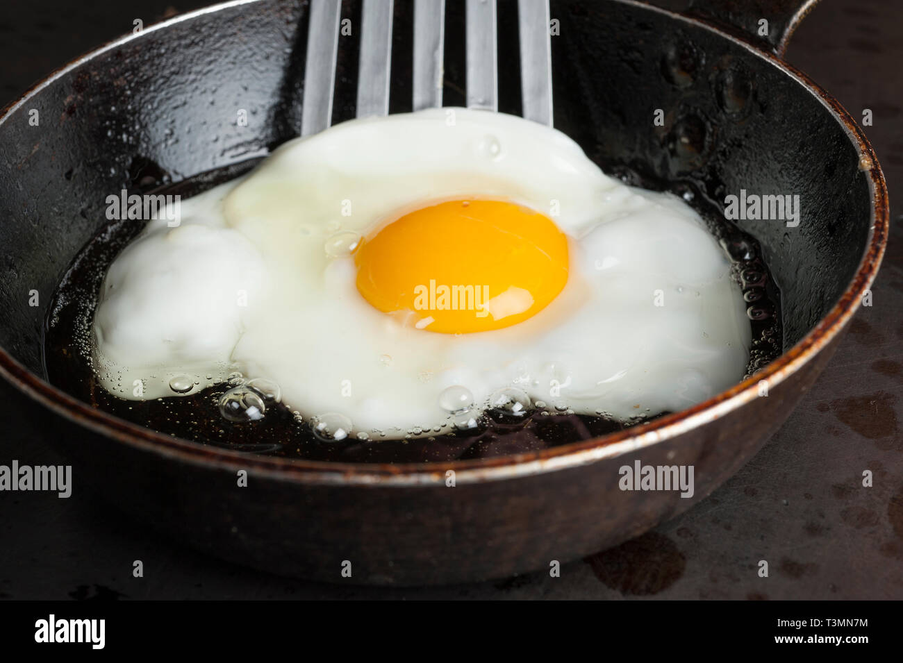 Fried egg in frying pan Stock Photo