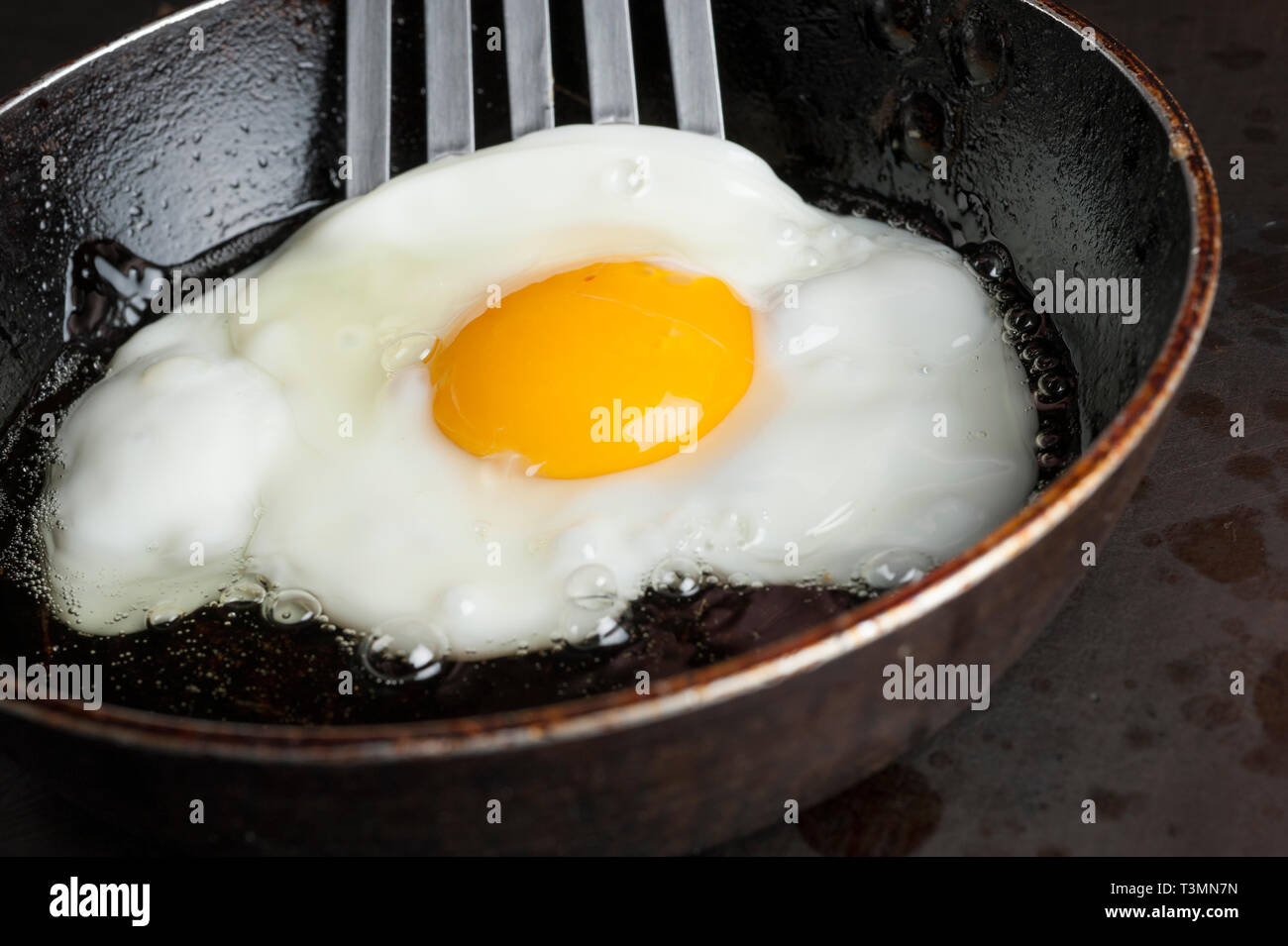 Fried egg in frying pan Stock Photo
