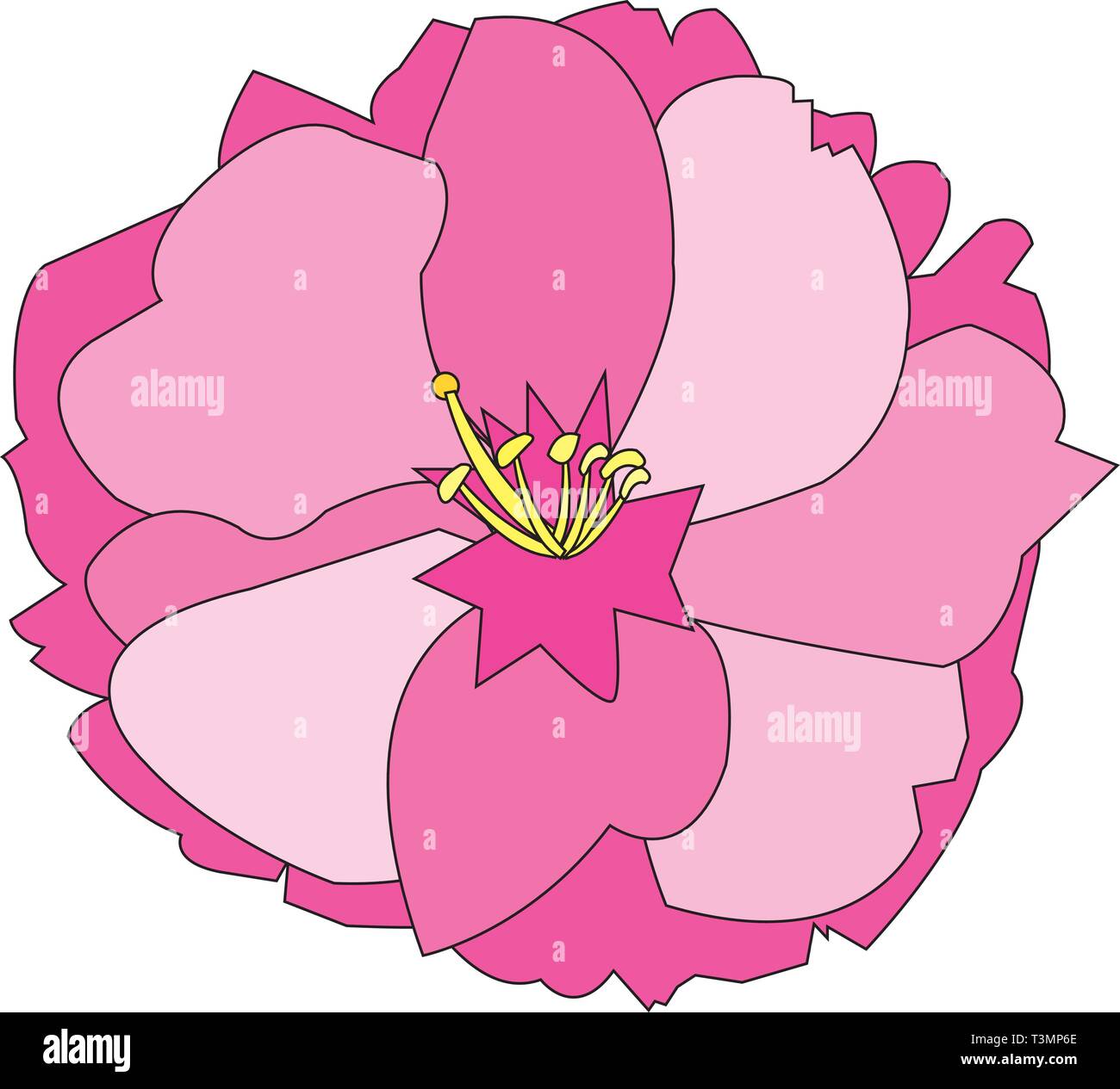 Pistil vector vectors hi-res stock photography and images - Alamy
