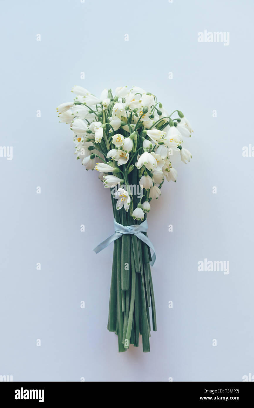 Bouquet of snowdrops on a white background Stock Photo