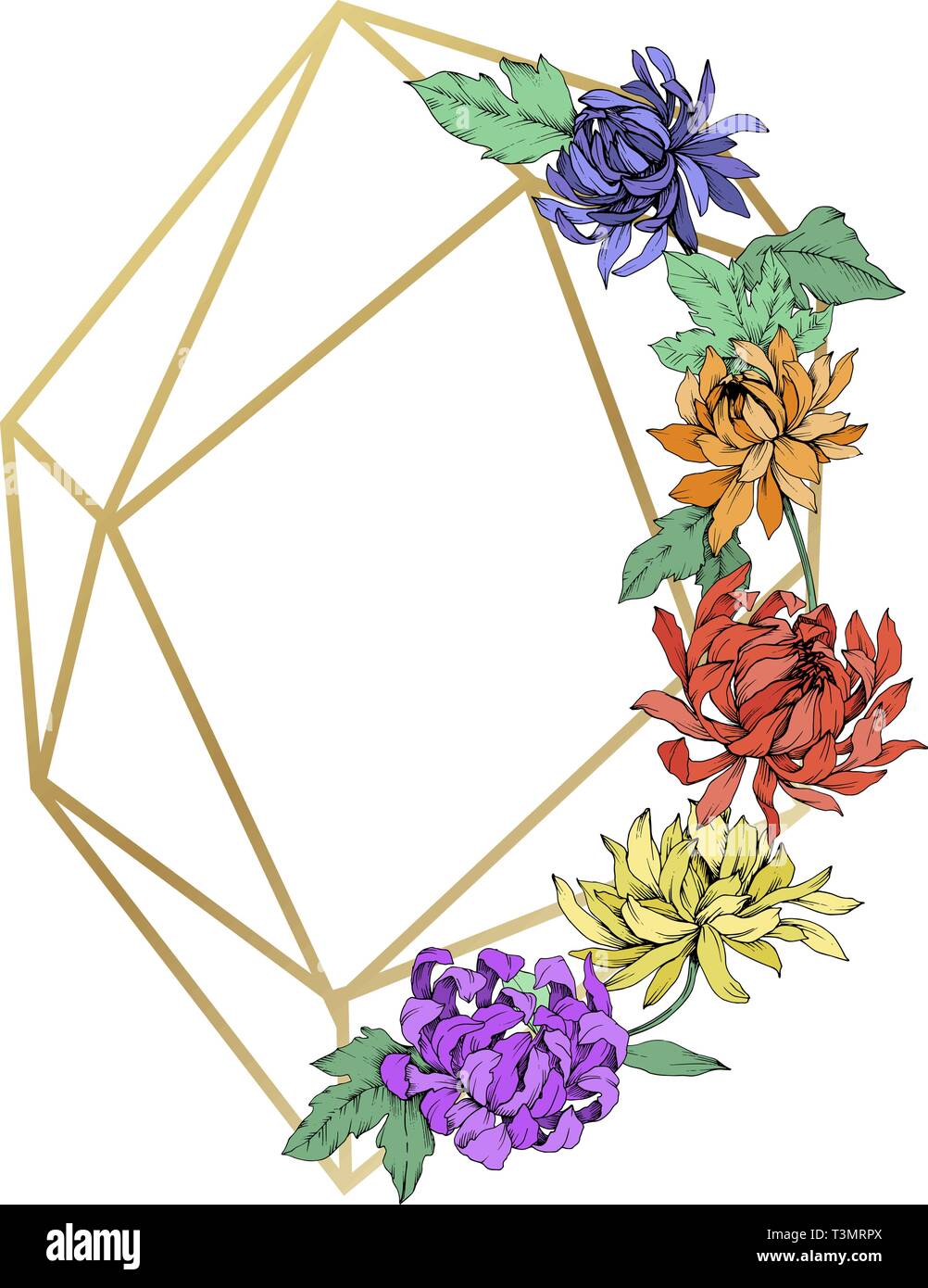 Vector Chrysanthemum Floral Botanical Flowers Engraved Ink Art Frame Border Crystal Ornament Square Stock Vector Image Art Alamy