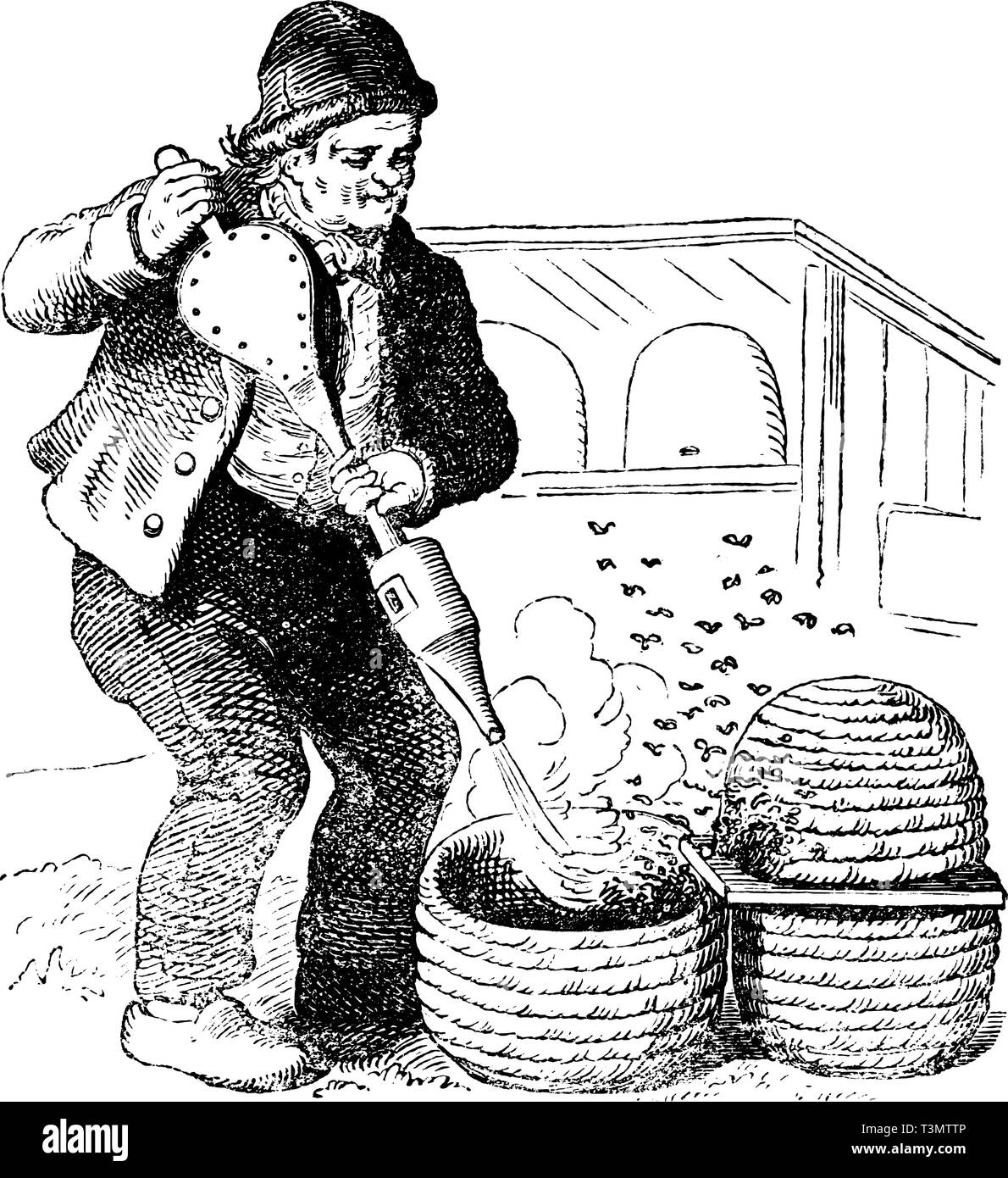 Antique vector drawing or engraving of grunge vintage illustration of beekeeper working with old style hive and smoker.From book Illustrierter Neuester Bienenfreund, printed in Leipzig, Germany 1852. Stock Vector