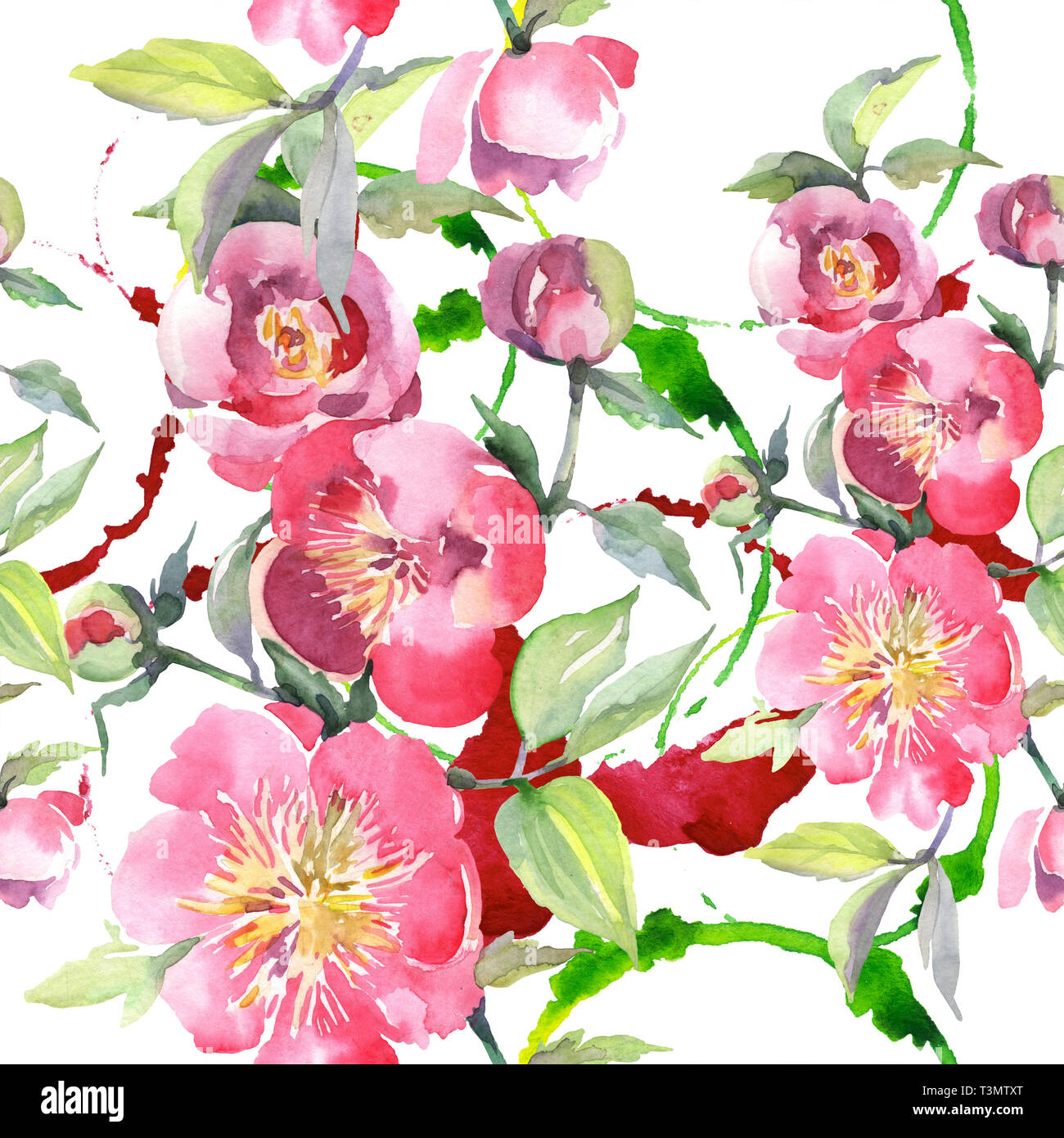 Pink peony bouquet floral botanical flowers. Watercolor background