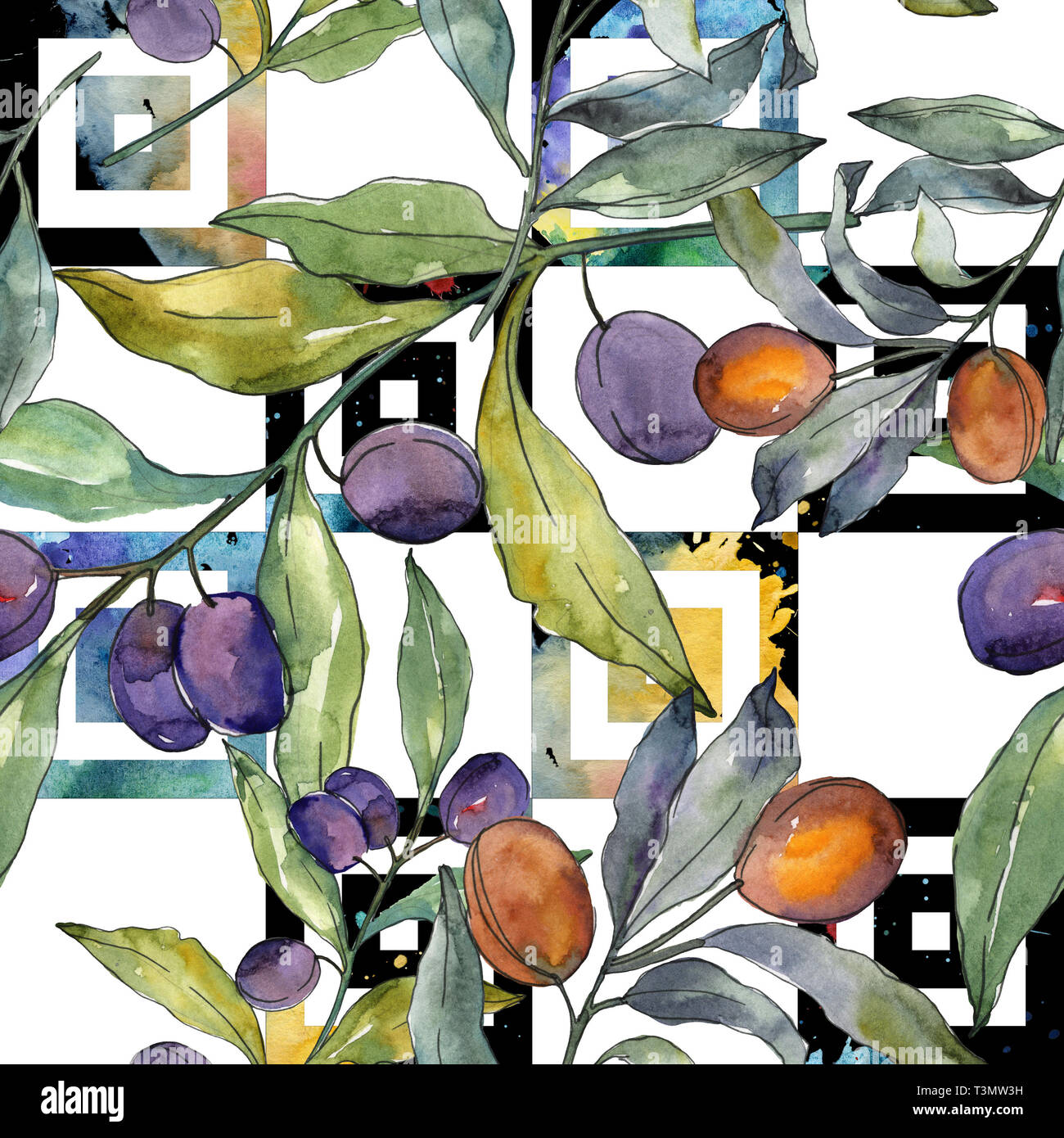 Olive branch with black and green fruit. Watercolor background ...
