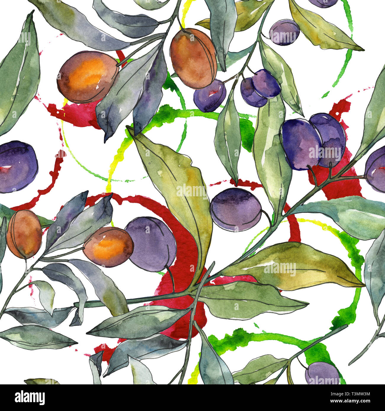 Olive branch with black and green fruit. Watercolor background ...