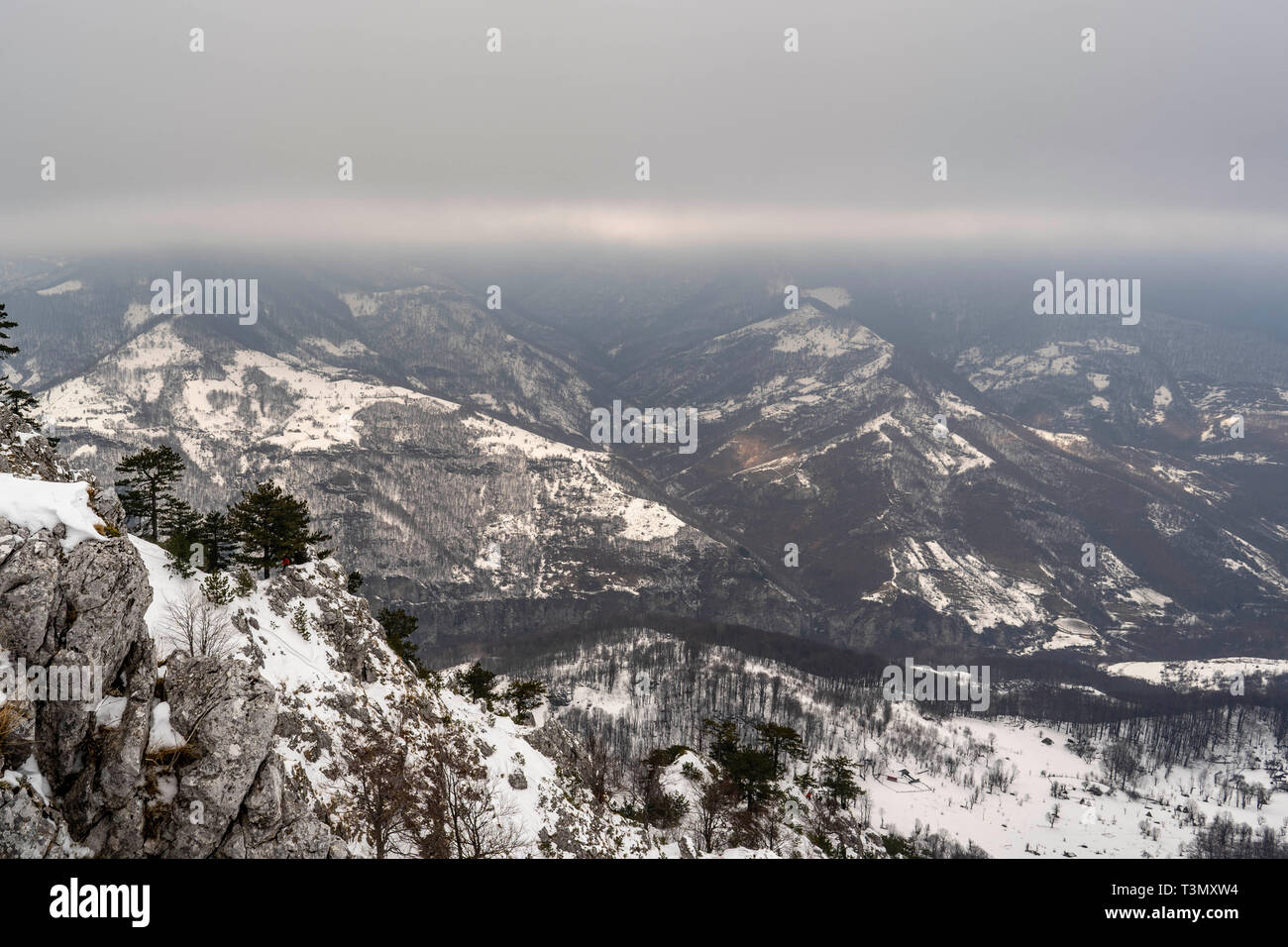 Black pine in snowy season on the peaks of Mehedinti Mountains, Romania Stock Photo