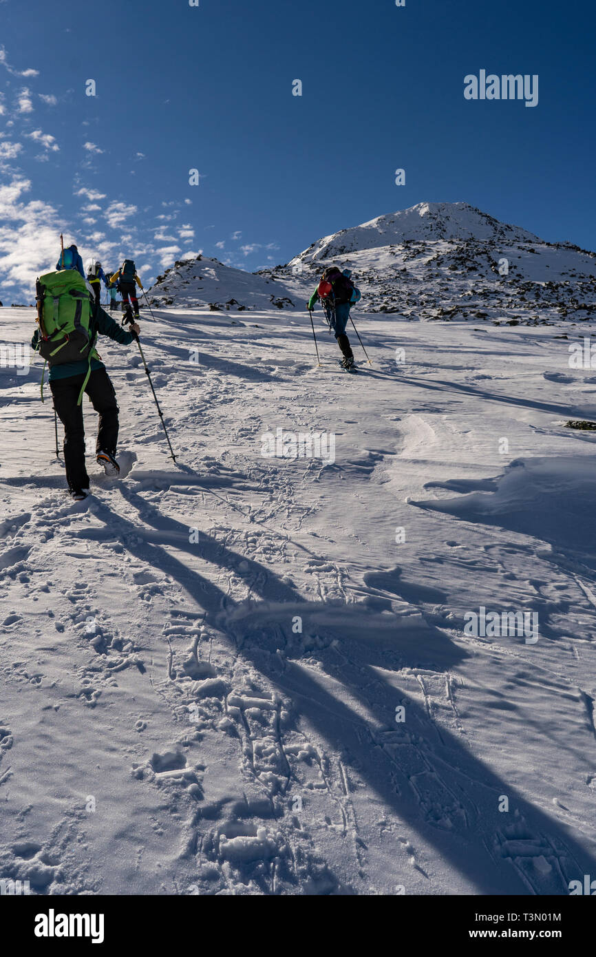 Group of mountaineers ascend and reach the top of one of the most spectacular peaks  in Retezat National Park, Romania, the Summit of Retezat on skis. Stock Photo
