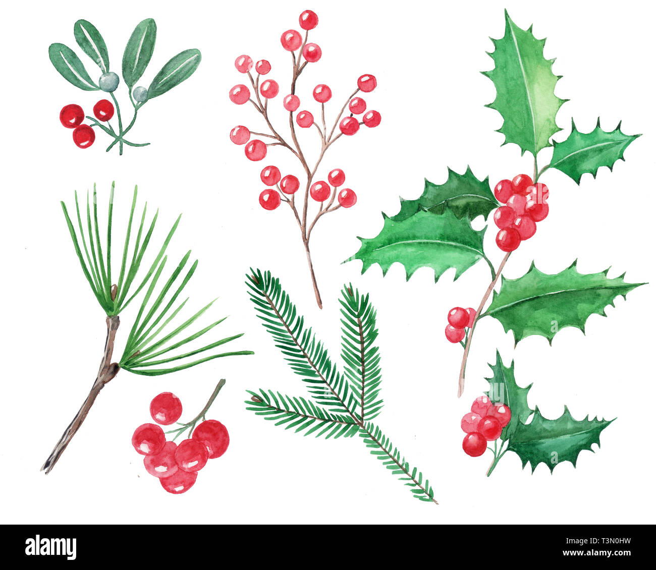 Set of Christmas elements, red berries, holly, mistletoe, hand drawn illustration, watercolor Stock Photo