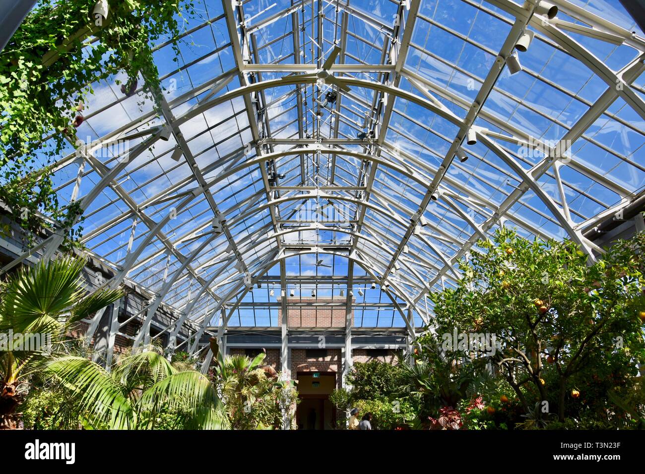 Horticultural Greenhouse High Resolution Stock Photography and Images ...