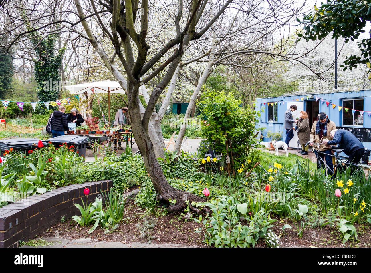 Plant sale and bike repair at Sunnyside Gardens, a community