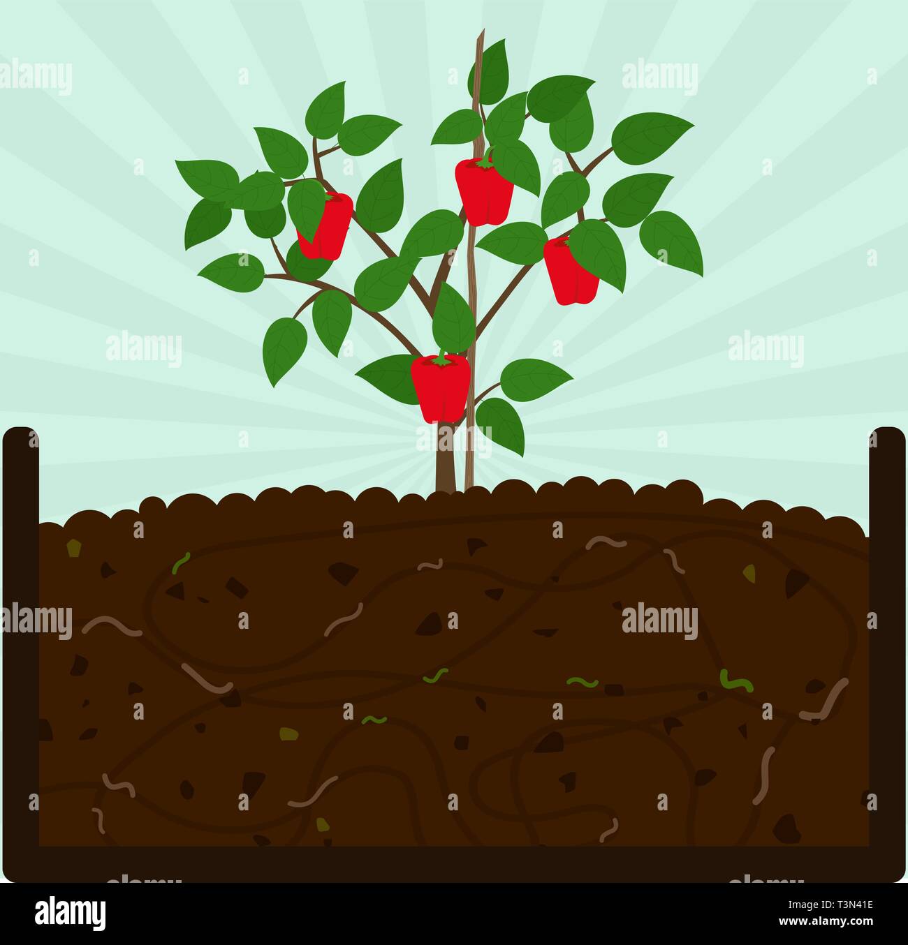 Planting bell pepper. Composting process with organic matter, microorganisms and earthworms. Fallen leaves on the ground. Stock Vector