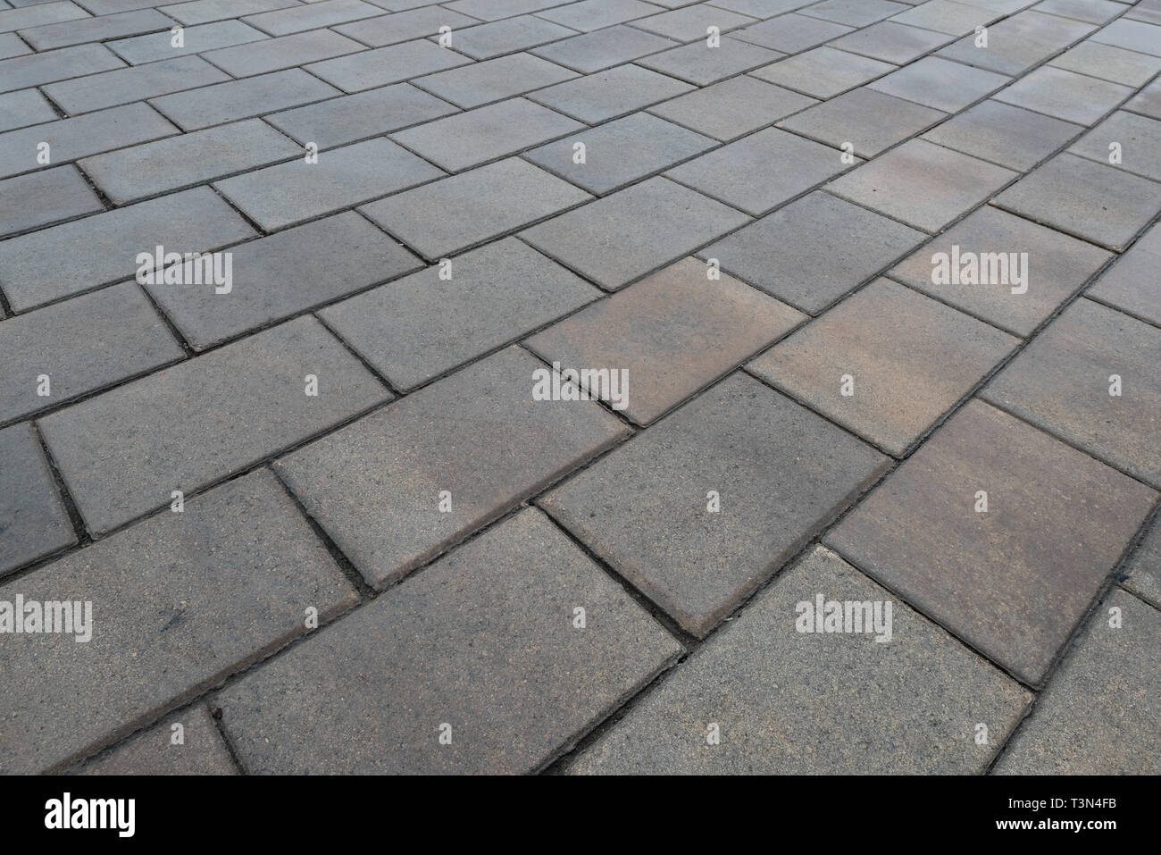 Gray granite. Rectangular pavement slab. Perspective view Stock Photo ...