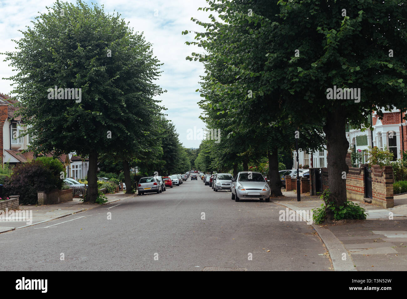 Typical street in London suburb with terraced houses and linden trees along it Stock Photo
