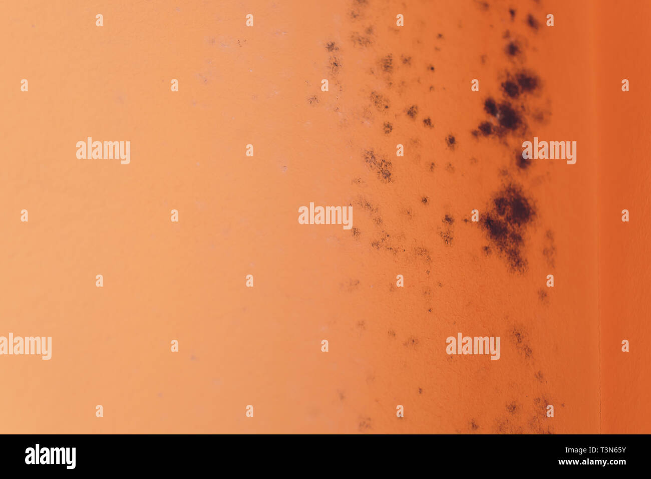 Peeling paint wall of water leak in plaster ceiling of bathroom Stock Photo Alamy