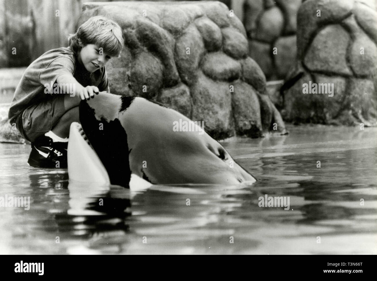 Actor Jason James Richter in the movie Free Willy, 1993 Stock Photo