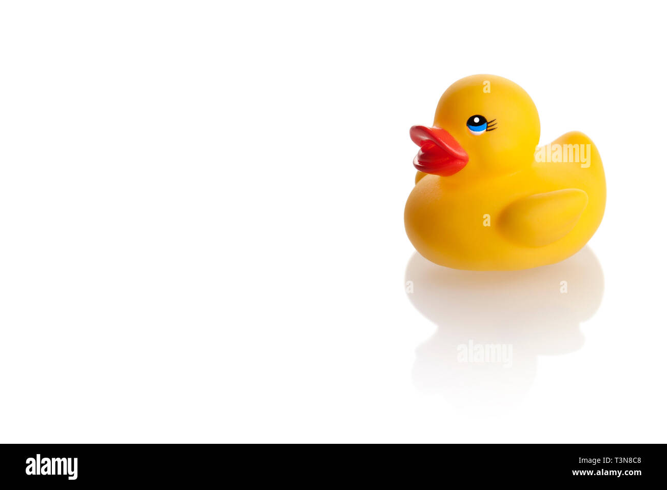 yellow rubber duck isoltated on white background Stock Photo