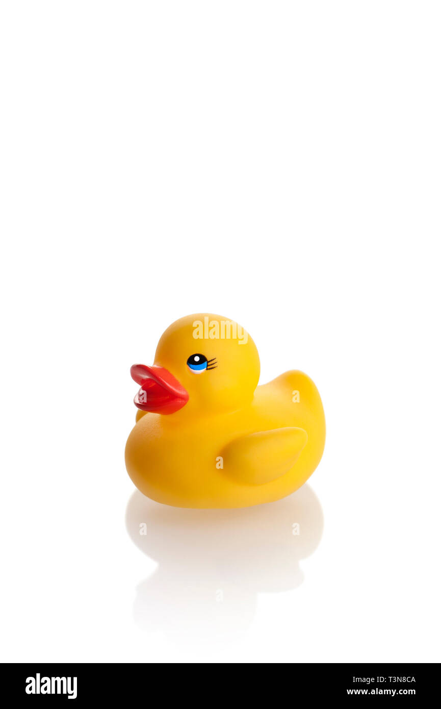 yellow rubber duck isoltated on white background Stock Photo - Alamy