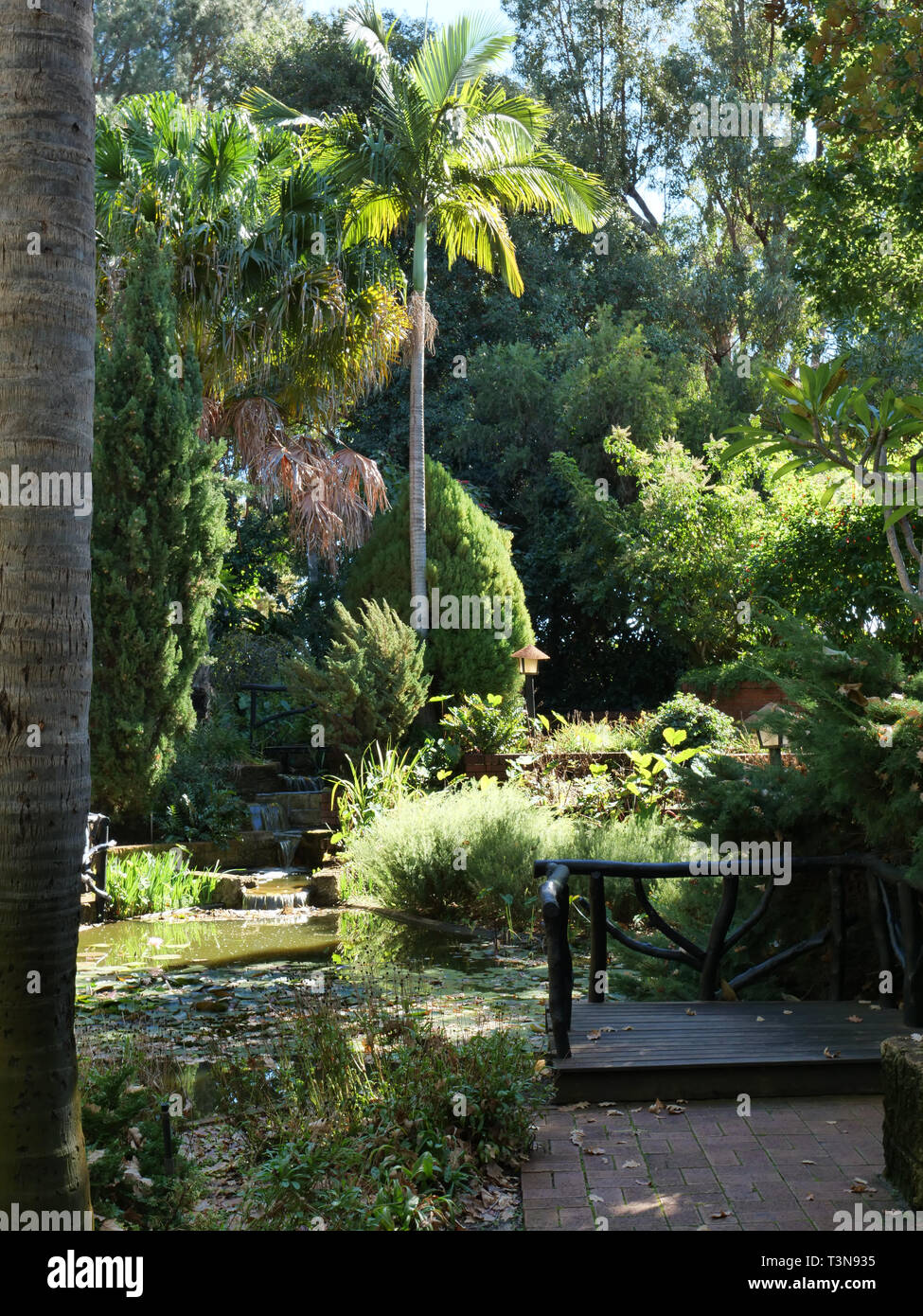 Wanneroo Botanical Garden has a mixture of native and imported garden  plants, a mini golf circuit and is located about 30 minutes north of Perth  WA Stock Photo - Alamy