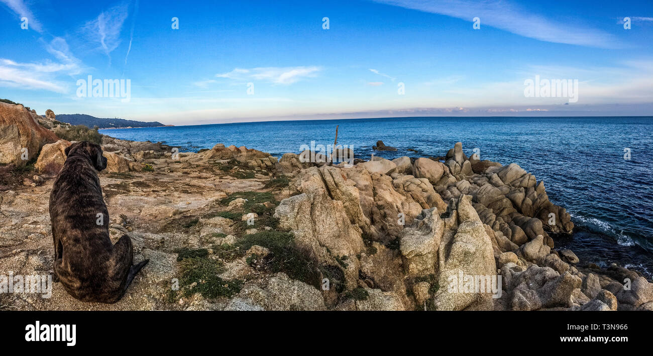 L Escalet, France Cote d Azur 09 Avril 2019 (beach, landscapes, nature