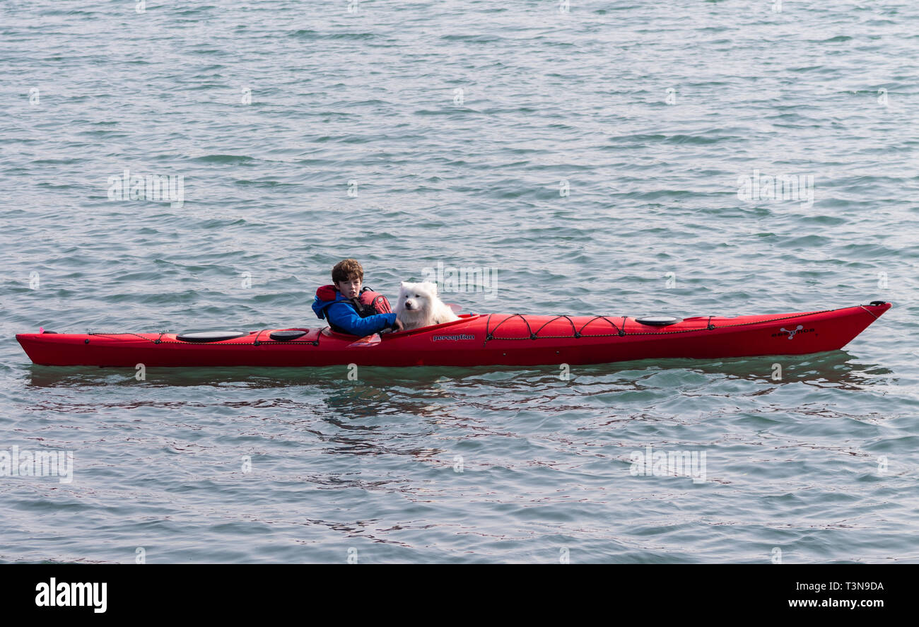 boy and his pet dog kayaking or canoeing. Stock Photo