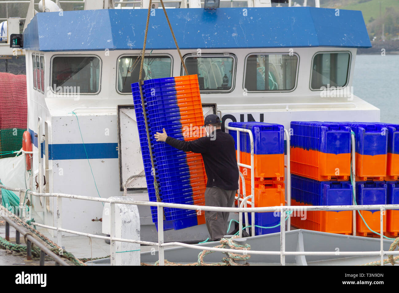 trawlerman loading fish boxes into the hold of a trawler. Stock Photo