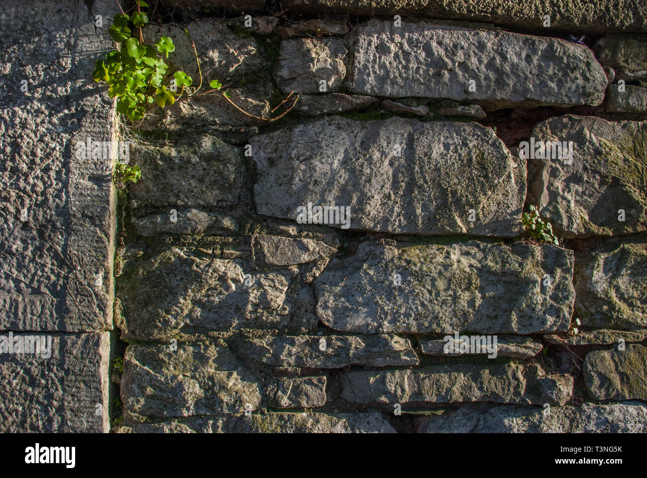 the old stone wall texture background natural color Stock Photo - Alamy