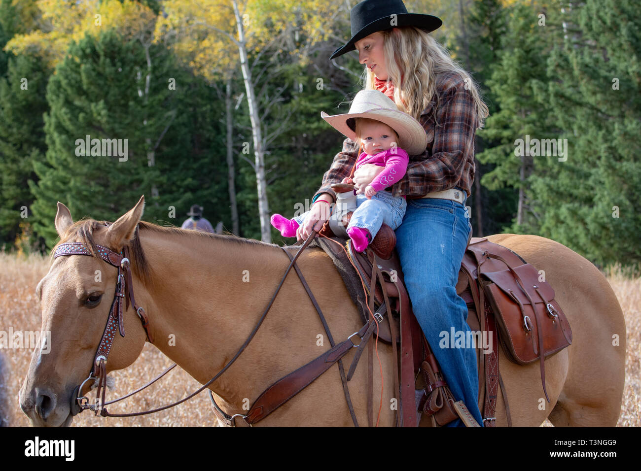 Riding horse hot sale for baby