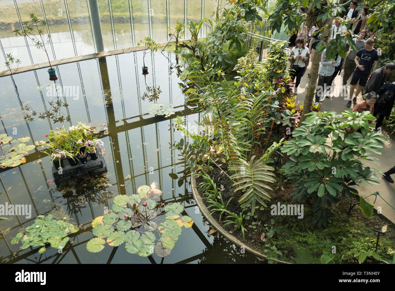 Shinjuku Gyoen National Garden in Tokyo, Japan Stock Photo - Alamy