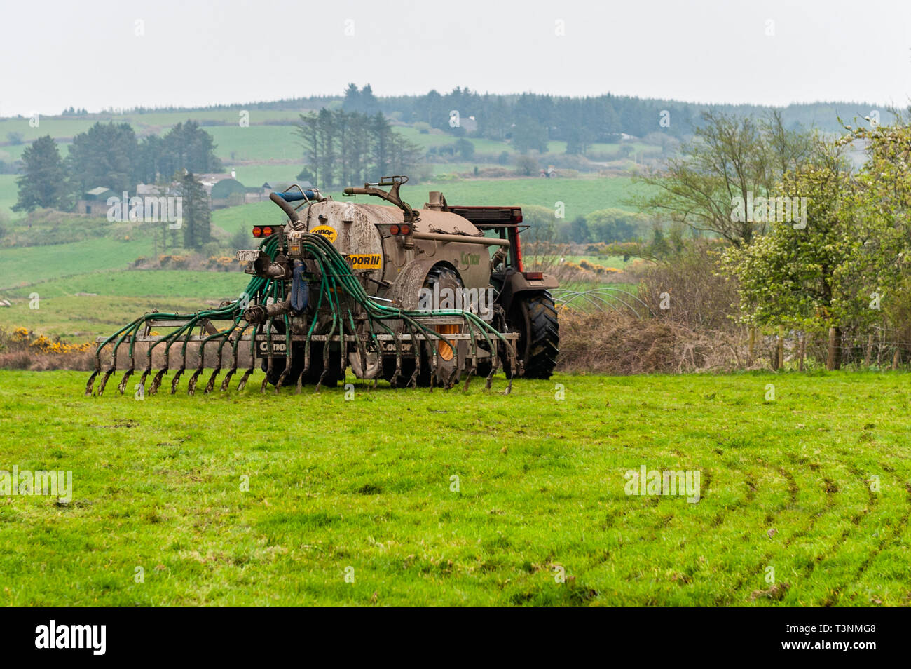 Ballydehob, West Cork, Ireland. 10th Apr, 2019. A farmer spreads slurry on his field on an overcast evening. The weather is set to improve tomorrow with sunshine and highs of 15°C. The weekend will be wet and very windy. Credit: Andy Gibson/Alamy Live News. Stock Photo