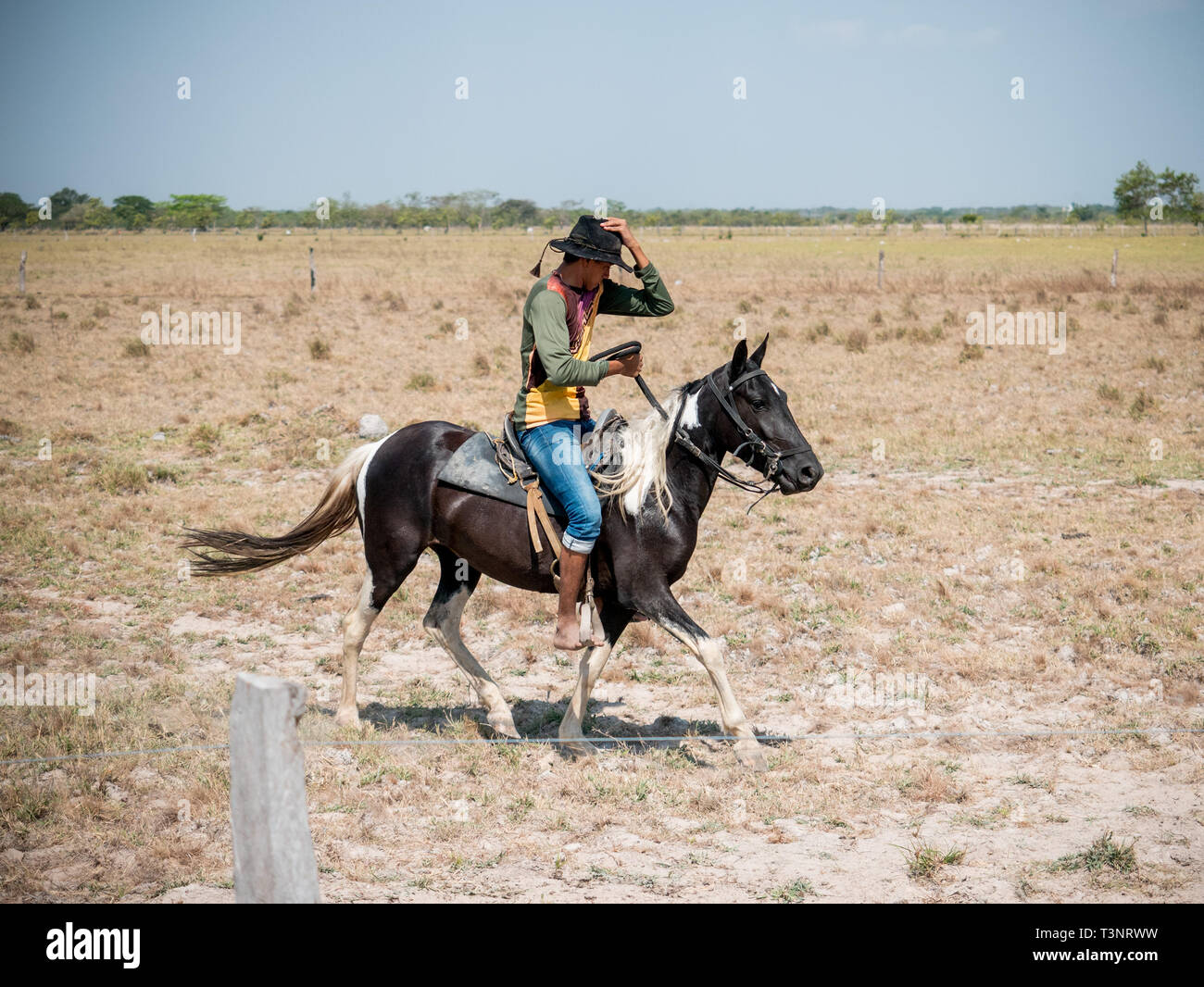 February 9, 2019 - Finca El ParaÃ-So/Yopal, Casanare, Colombia - A cowboy seen riding his horse at the El ParaÃ-so farm.Colombian cowboys taking care of the cows in the region of Casanare, eastern Colombia, between the Ands, the Orinoco River and the border with Venezuela. These are Plains and pastures with wide rivers and marshes, a region of big biodiversity. But nowadays, it is in danger because of climate change. Credit: Jana Cavojska/SOPA Images/ZUMA Wire/Alamy Live News Stock Photo