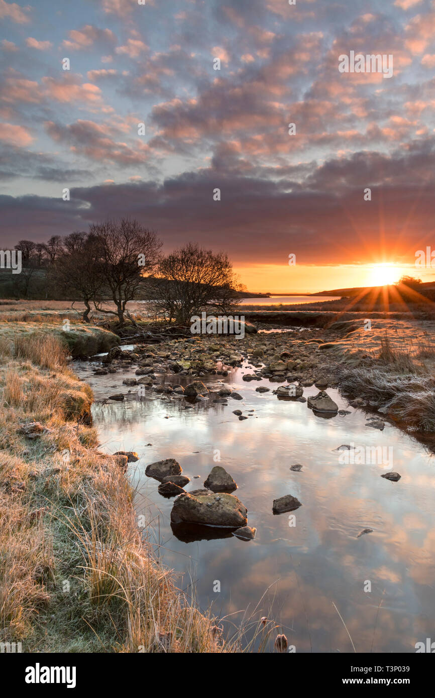 Teesdale, County Durham UK. Thursday 11th April 2019. UK Weather. With temperatures dropping to -4C overnight in Northeast England it was a cold, frosty, but colourful start to the day in Teesdale. Credit: David Forster/Alamy Live News Stock Photo