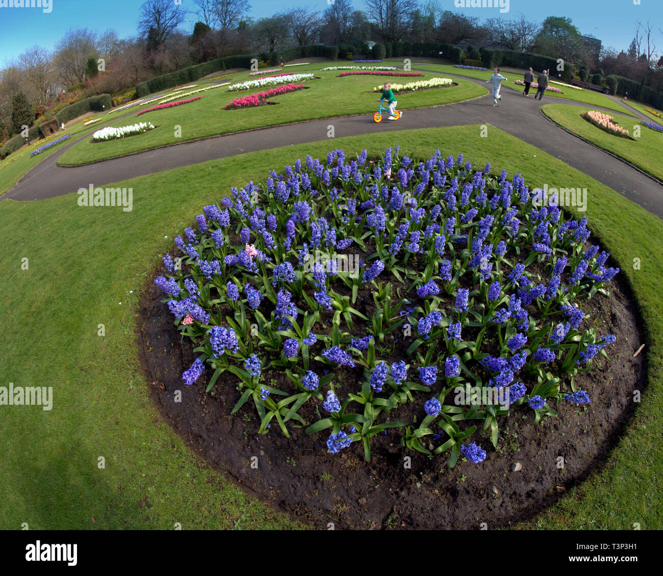 Glasgow, Scotland, UK. 11th Apr, 2019. UK Weather: Sunny summer day in Victoria Park as the city's green spaces flower displays hit their peak in the bright sunshine and high temperatures in the city centre. Credit: gerard ferry/Alamy Live News Stock Photo