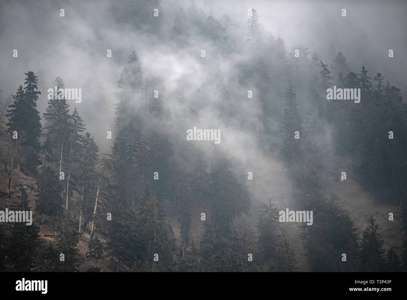 Rottach Egern, Germany. 11th Apr, 2019. Fog spreads over the mountains south of Lake Tegern. Credit: Sina Schuldt/dpa/Alamy Live News Stock Photo