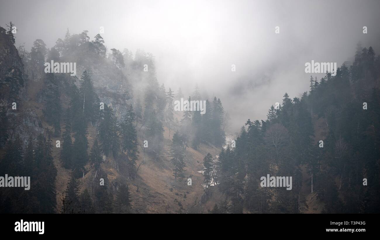 Rottach Egern, Germany. 11th Apr, 2019. Fog spreads over the mountains south of Lake Tegern. Credit: Sina Schuldt/dpa/Alamy Live News Stock Photo