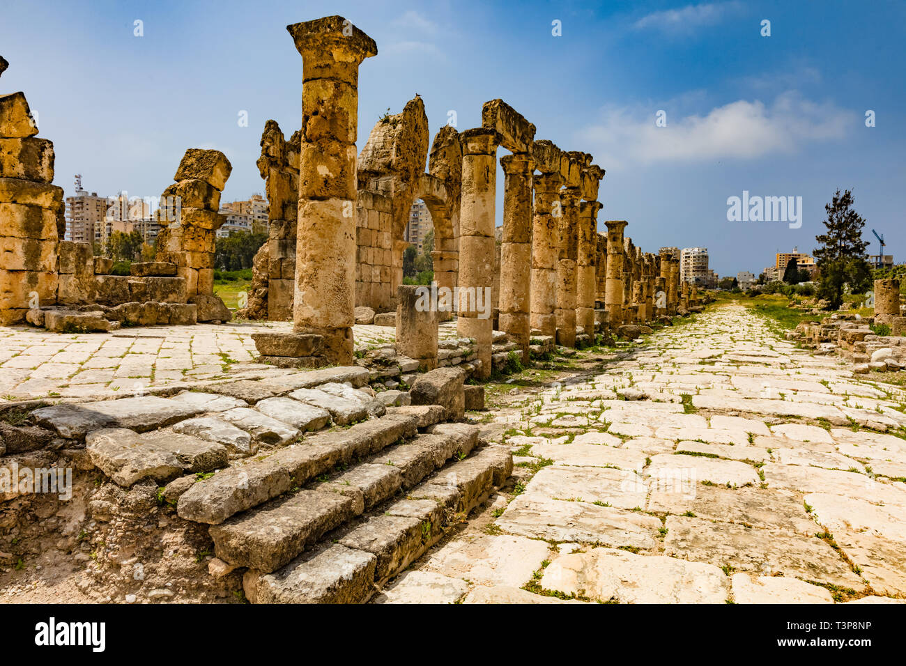 Al-Bass Archaeological Site Tyre Sur in South Lebanon Middle east Stock Photo