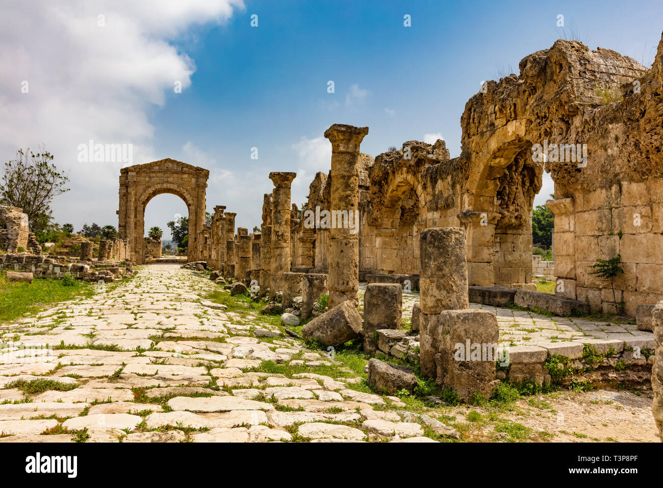 Al-Bass Archaeological Site Tyre Sur in South Lebanon Middle east Stock Photo