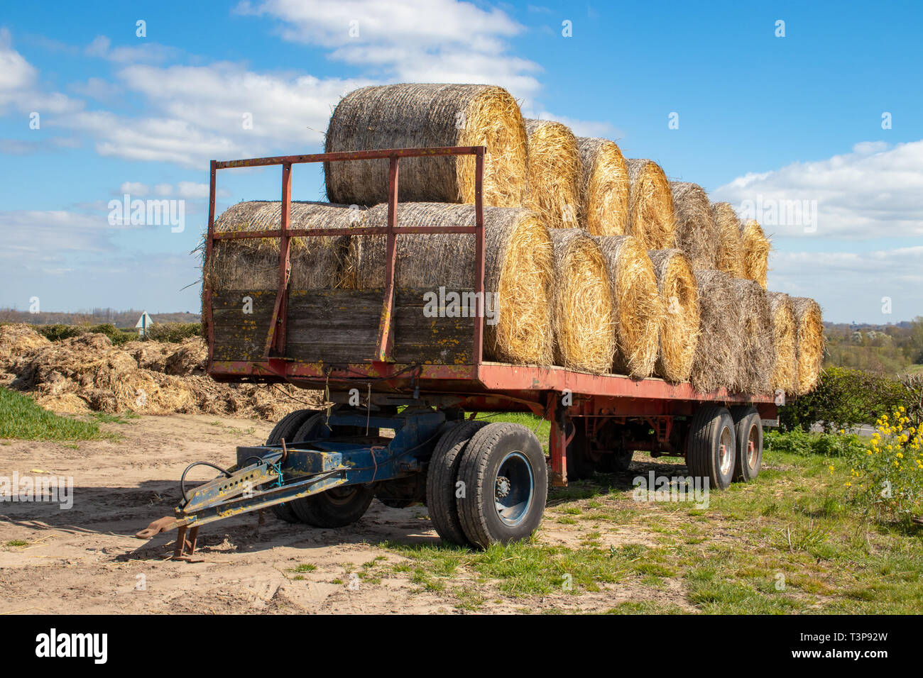 Round Straw/Hay Bales Loaded on a Trailer ready for Winter Feed plus a