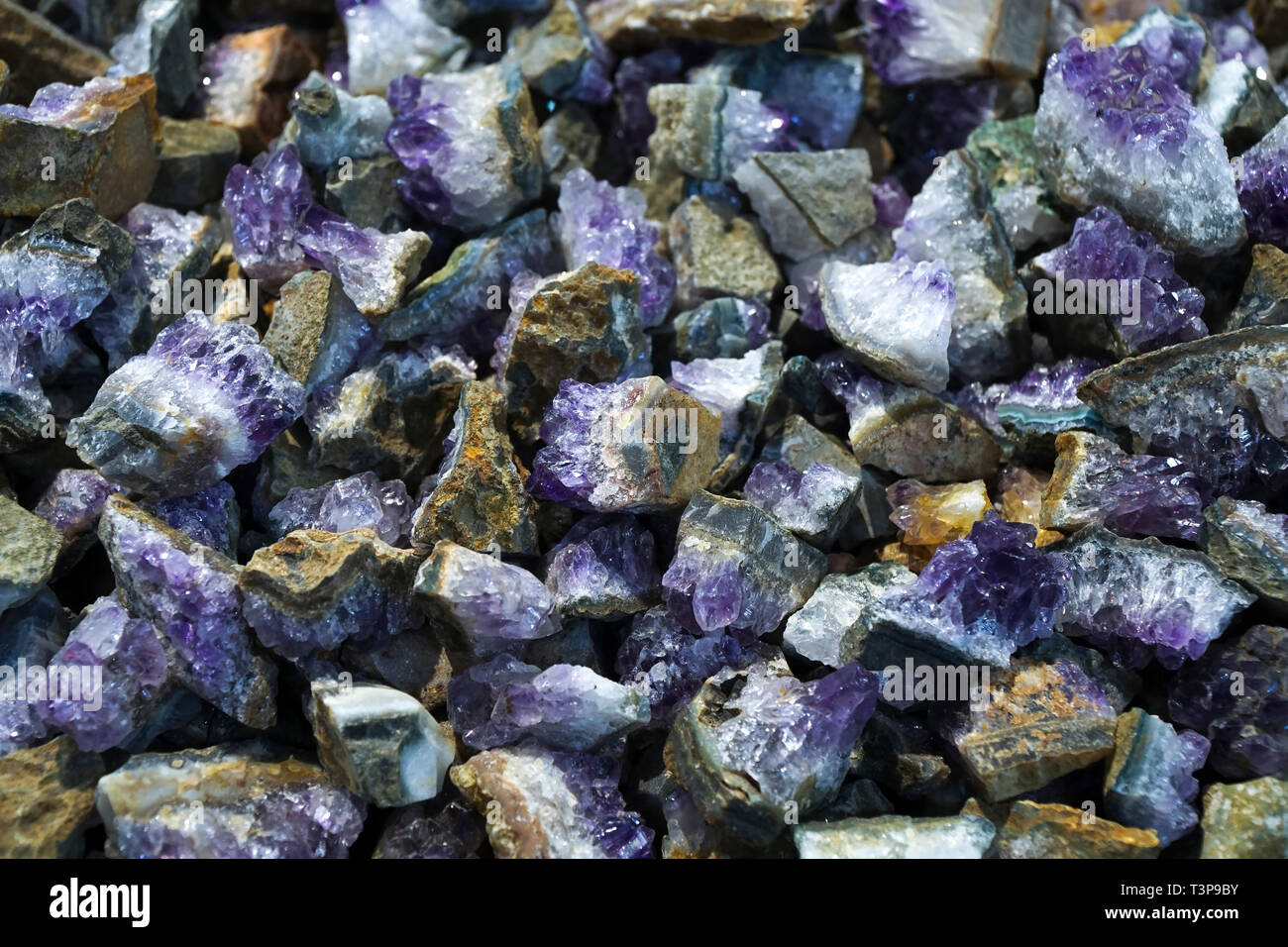 Amethyst crystals as background Stock Photo