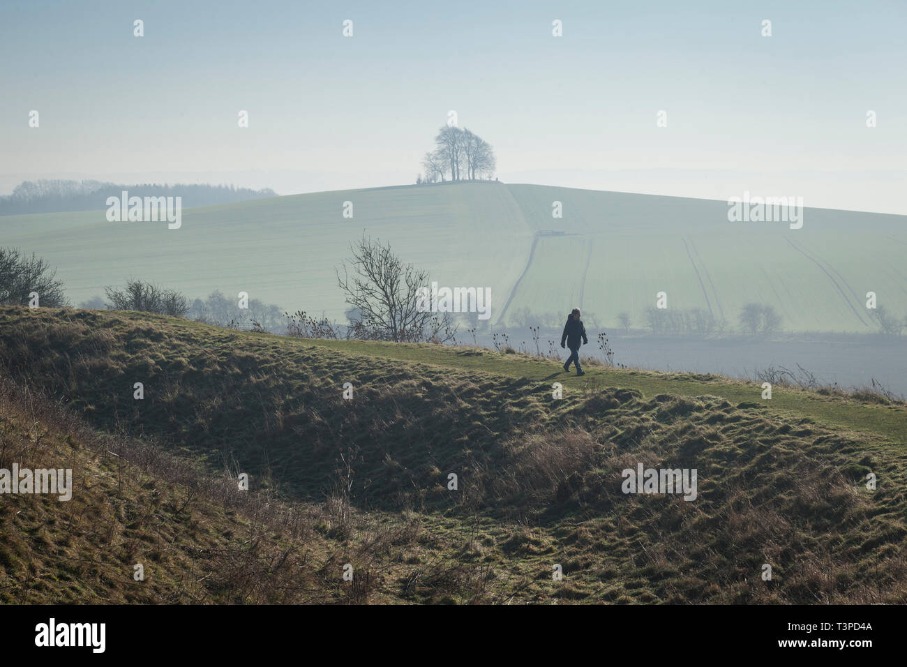 A lone walker on Castle Hill, Wittenham Clumps with the Iron Age Fort Brightwell Barrow on the horizon behind Stock Photo