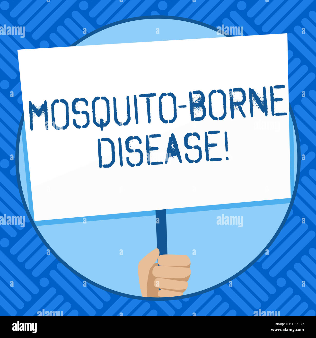 Text sign showing Mosquito Borne Disease. Business photo text illnesses caused parasites transmitted by mosquitoes Hand Holding Blank White Placard Su Stock Photo
