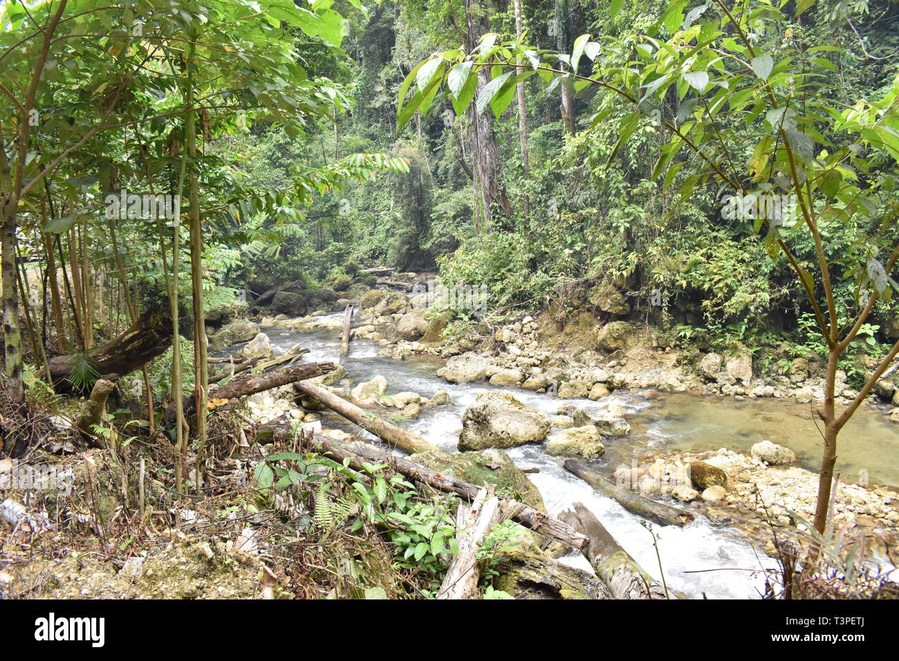 Bihewa Waterfall, a tourist destination in Legari Village at Nabire Papua Indonesia where must visited beside 'whale shark' in Kali Lemon. Stock Photo