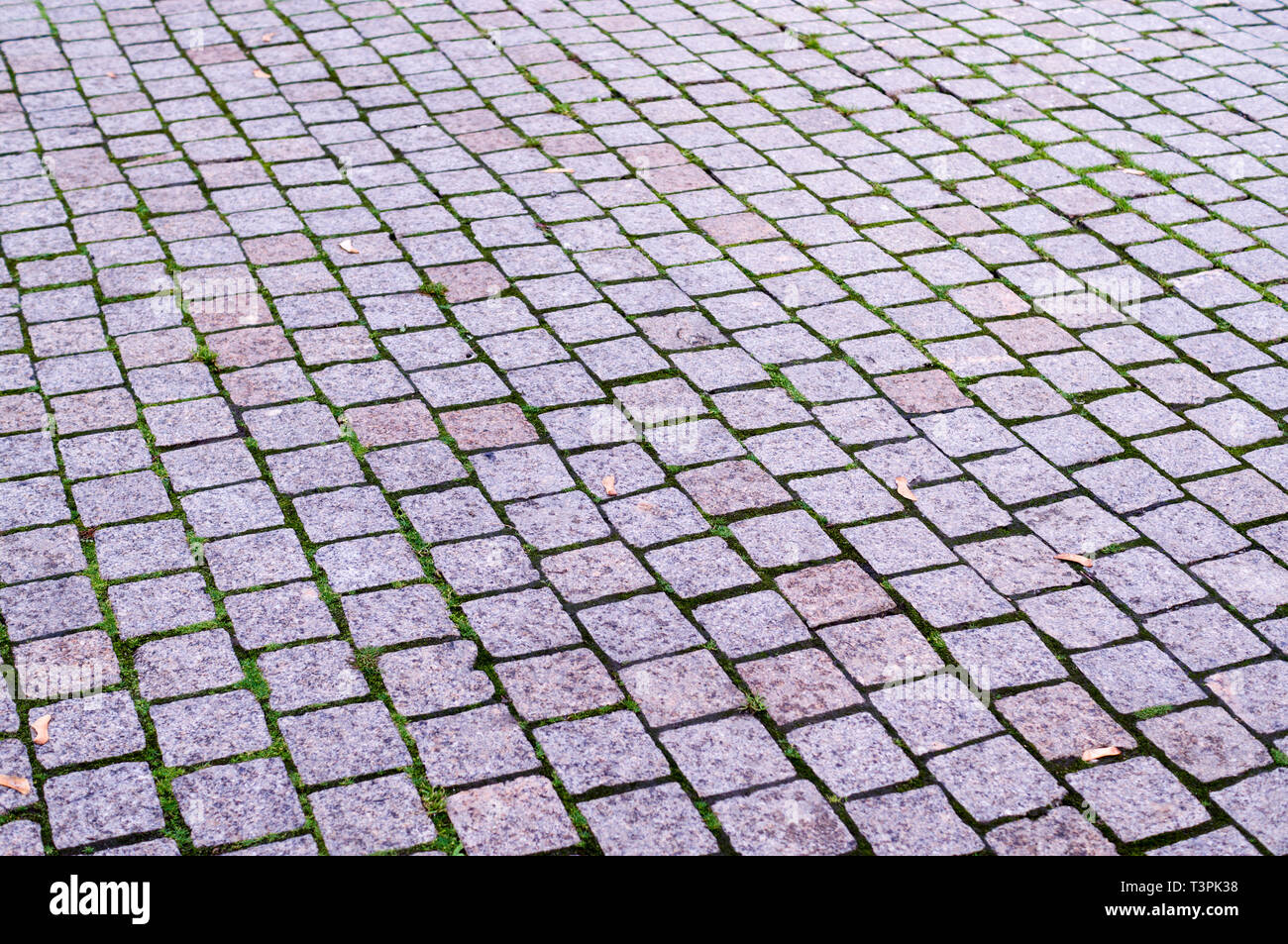 paved tiled sidewalk with perspective view. background, urban. Stock Photo