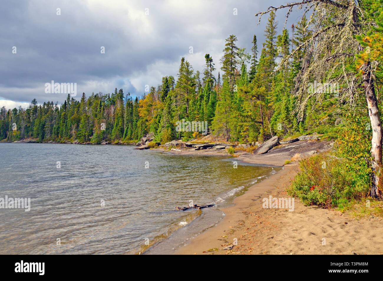 Tuscarora hires stock photography and images Alamy