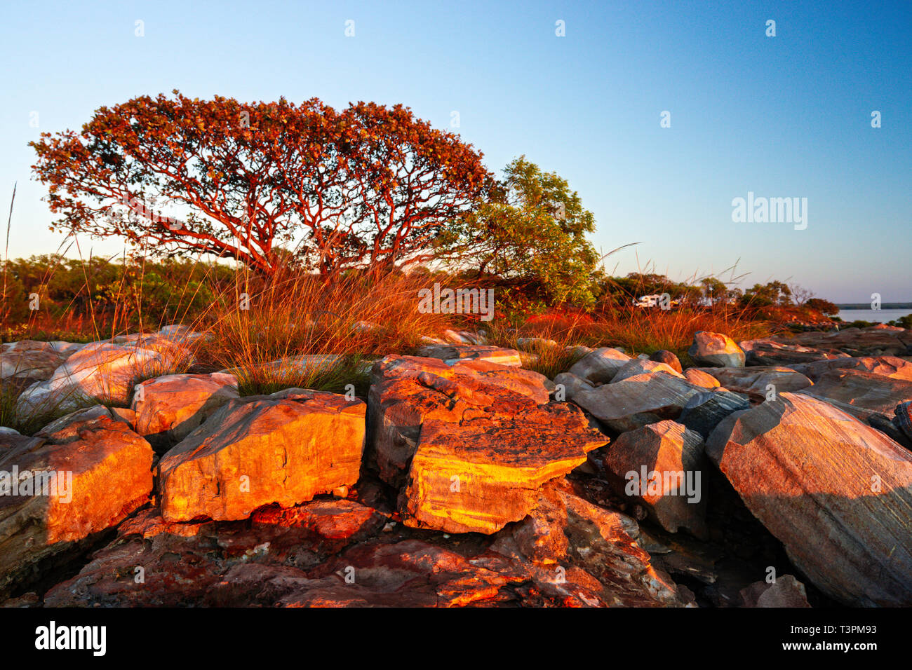 Australia Dampier Peninsula Hi res Stock Photography And Images Alamy australia-dampier-peninsula-hi-res-stock-photography-and-images-alamy