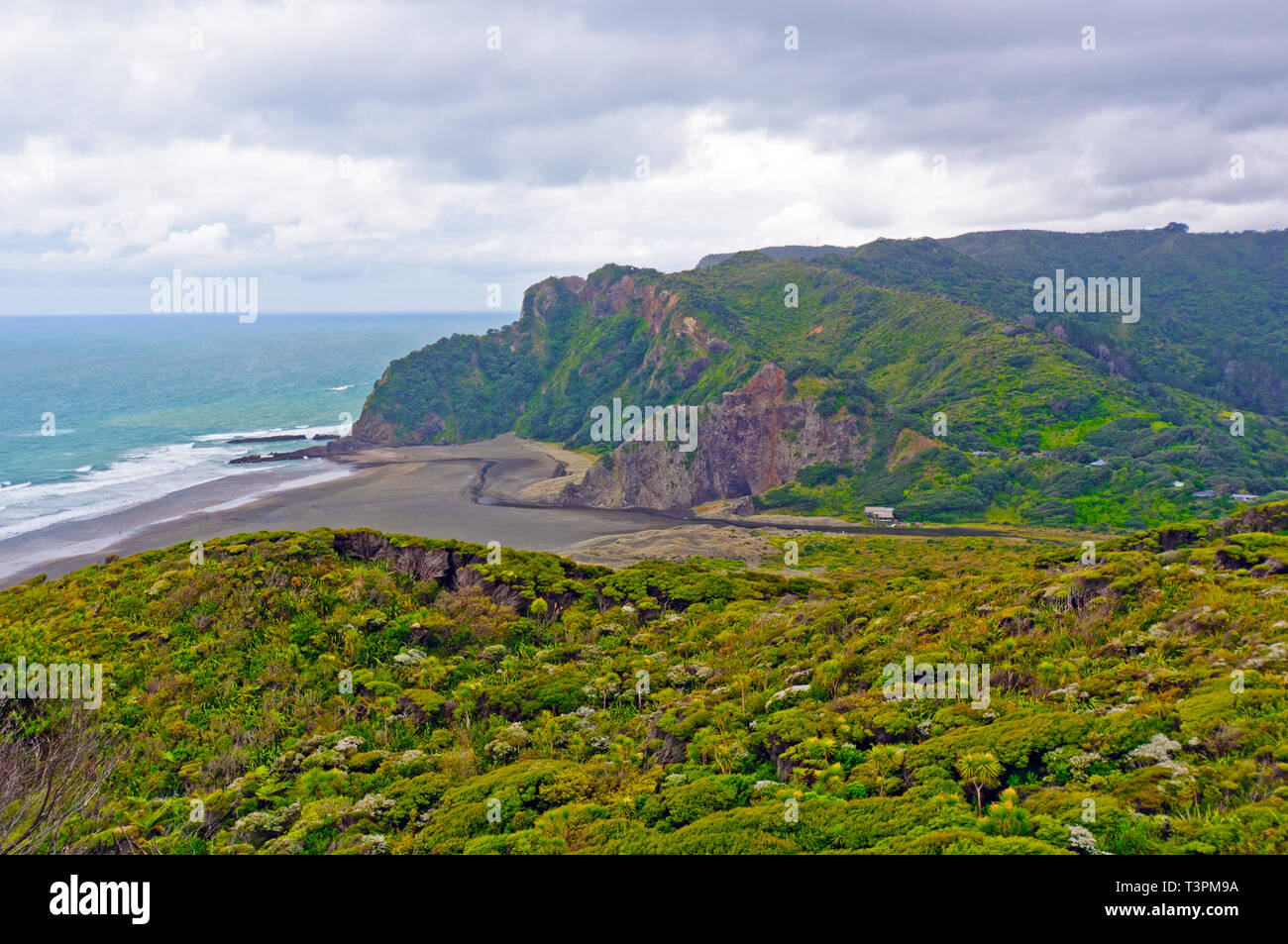 Karekare Beach in the North Island of New Zealand Stock Photo Alamy