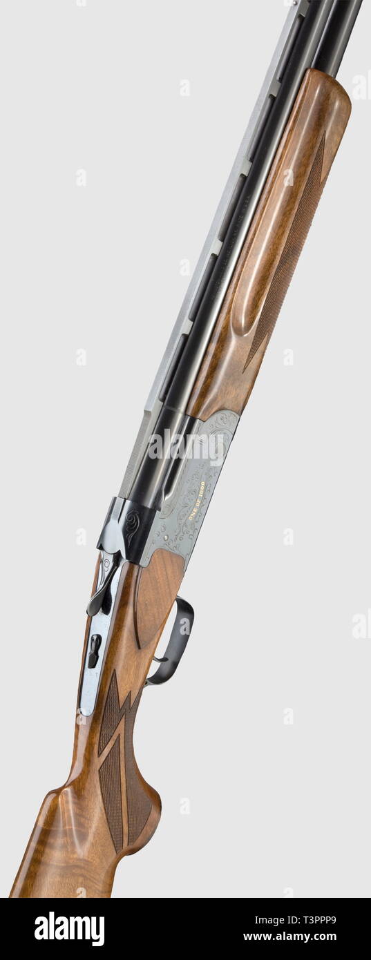 LONG ARMS, MODERN HUNTING WEAPONS, hunting rifle, Editorial-Use-Only Stock Photo
