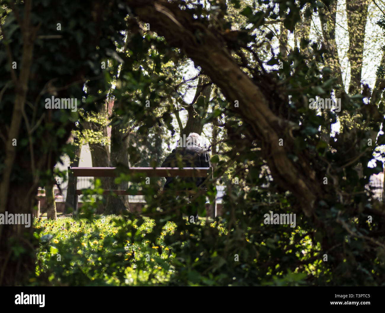 Old man sitting on bench hi-res stock photography and images - Alamy