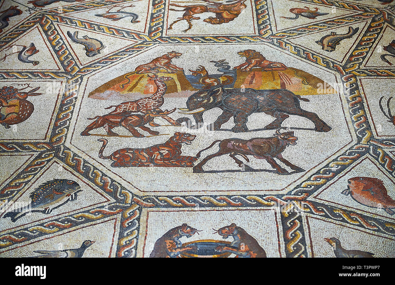 African animals and fish from the 3rd century Roman mosaic villa floor from Lod, near Tel Aviv, Israel. The Roman floor mosaic of Lod is the largest a Stock Photo